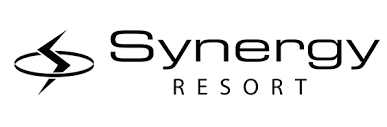 Brand Synergy logo